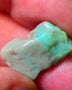 Lightning Ridge Gamble opal rough 10.00cts showing nice bright Green colours 21x14x5mm ALP138