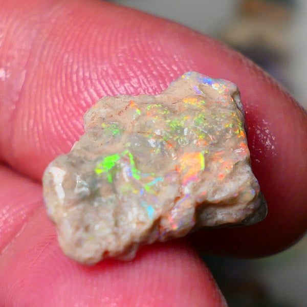 Lightning Ridge Gamble knobby opal formation rough showing Vibrant bright Multi colours 17x12x7mm AL139