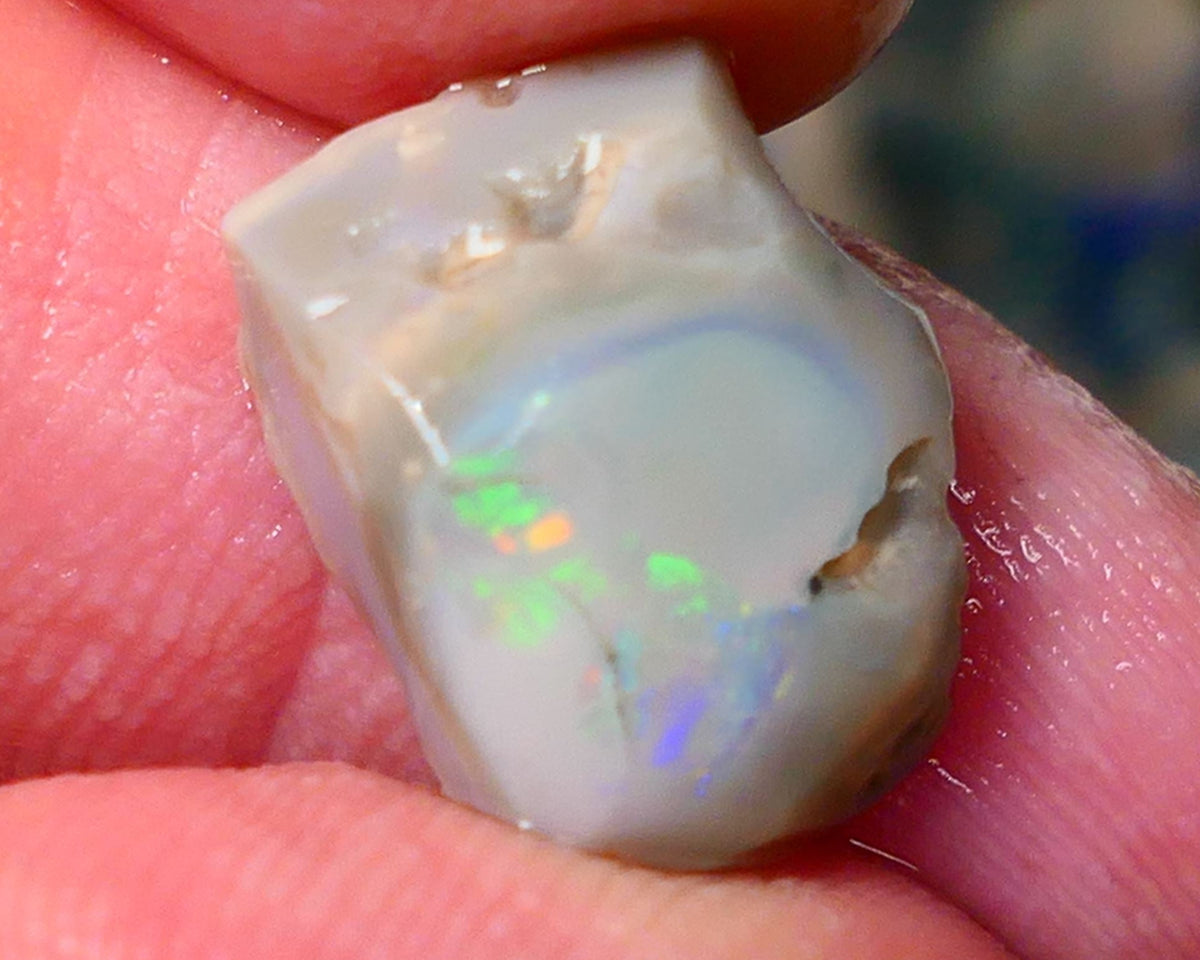 Lightning Ridge Gamble opal rough rub 7.50cts showing nice bright Multi colours 15x12x7mm ALP143