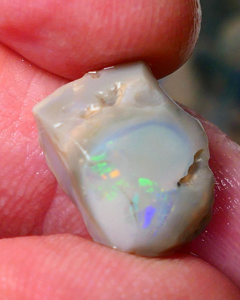 Lightning Ridge Gamble opal rough rub 7.50cts showing nice bright Multi colours 15x12x7mm ALP143