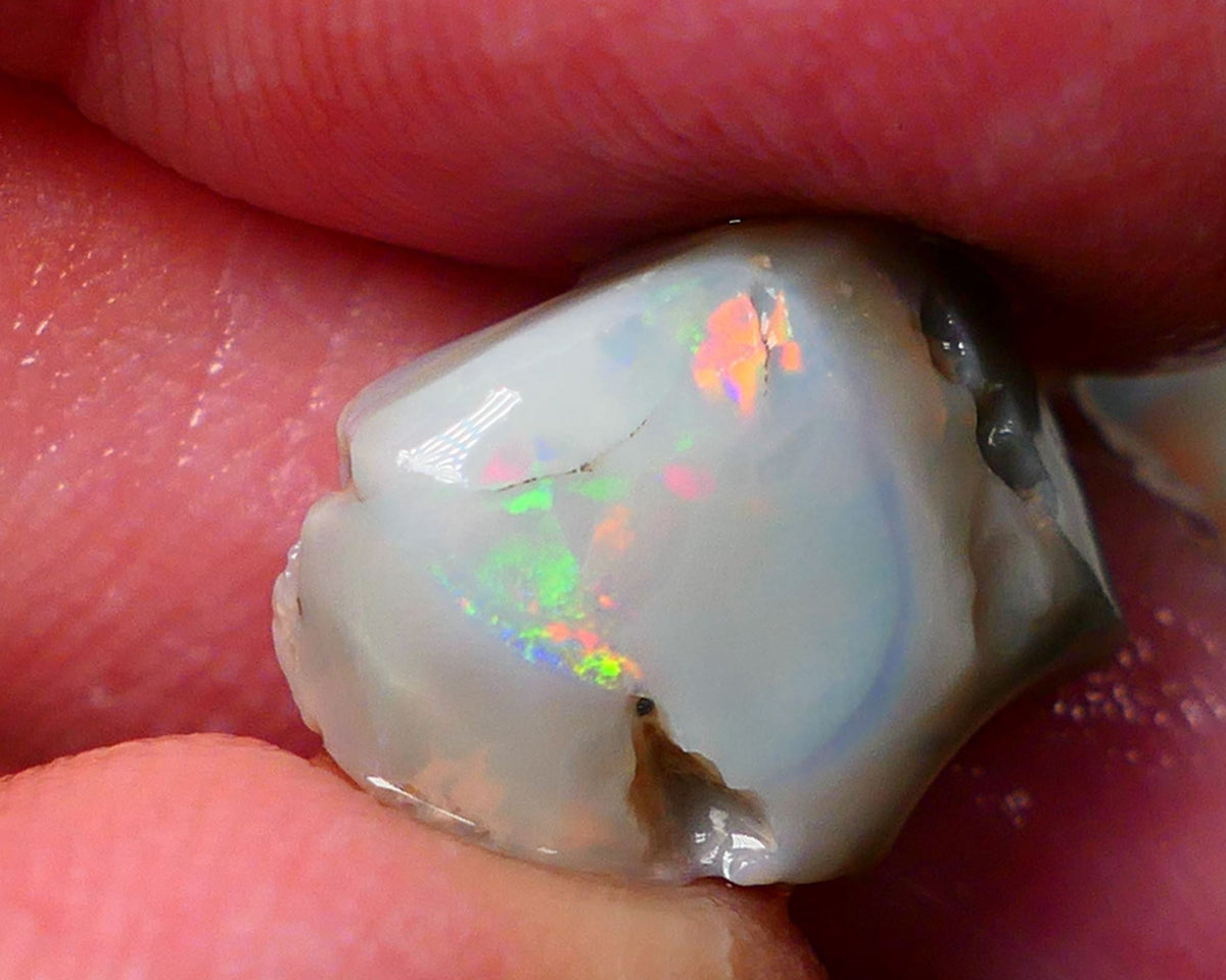 Lightning Ridge Gamble opal rough rub 7.50cts showing nice bright Multi colours 15x12x7mm ALP143