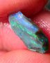 Lightning Ridge Gamble opal rough showing nice bright colours details to come cts ALP1xx