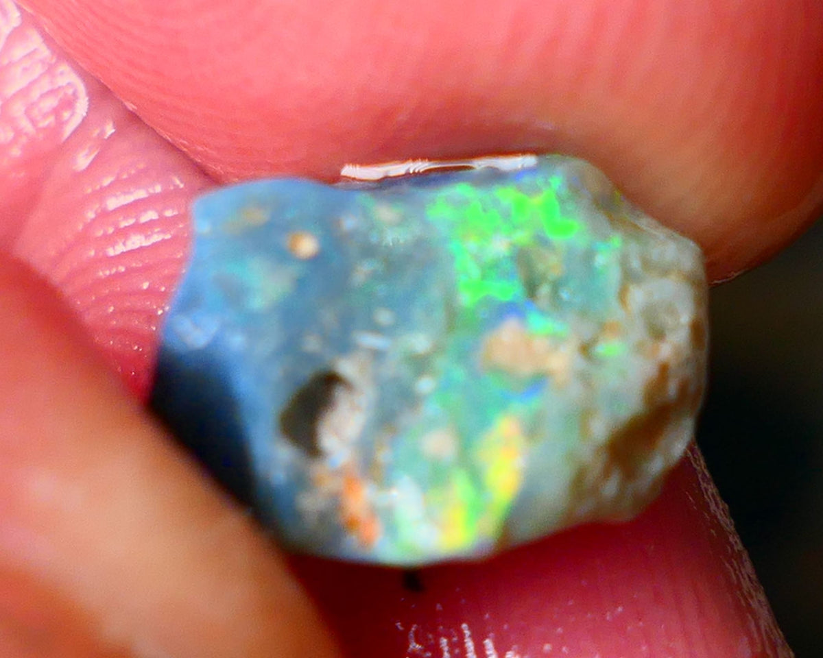 Lightning Ridge Gamble opal rough 2.60cts showing Gorgeous bright Multi colours 11x9x4mm ALP152