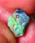 Lightning Ridge Gamble opal rough 2.60cts showing Gorgeous bright Multi colours 11x9x4mm ALP152