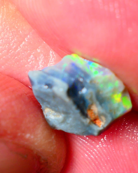 Lightning Ridge Gamble opal rough 2.60cts showing Gorgeous bright Multi colours 11x9x4mm ALP152