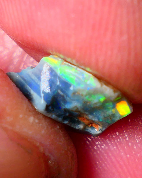 Lightning Ridge Gamble opal rough 2.60cts showing Gorgeous bright Multi colours 11x9x4mm ALP152