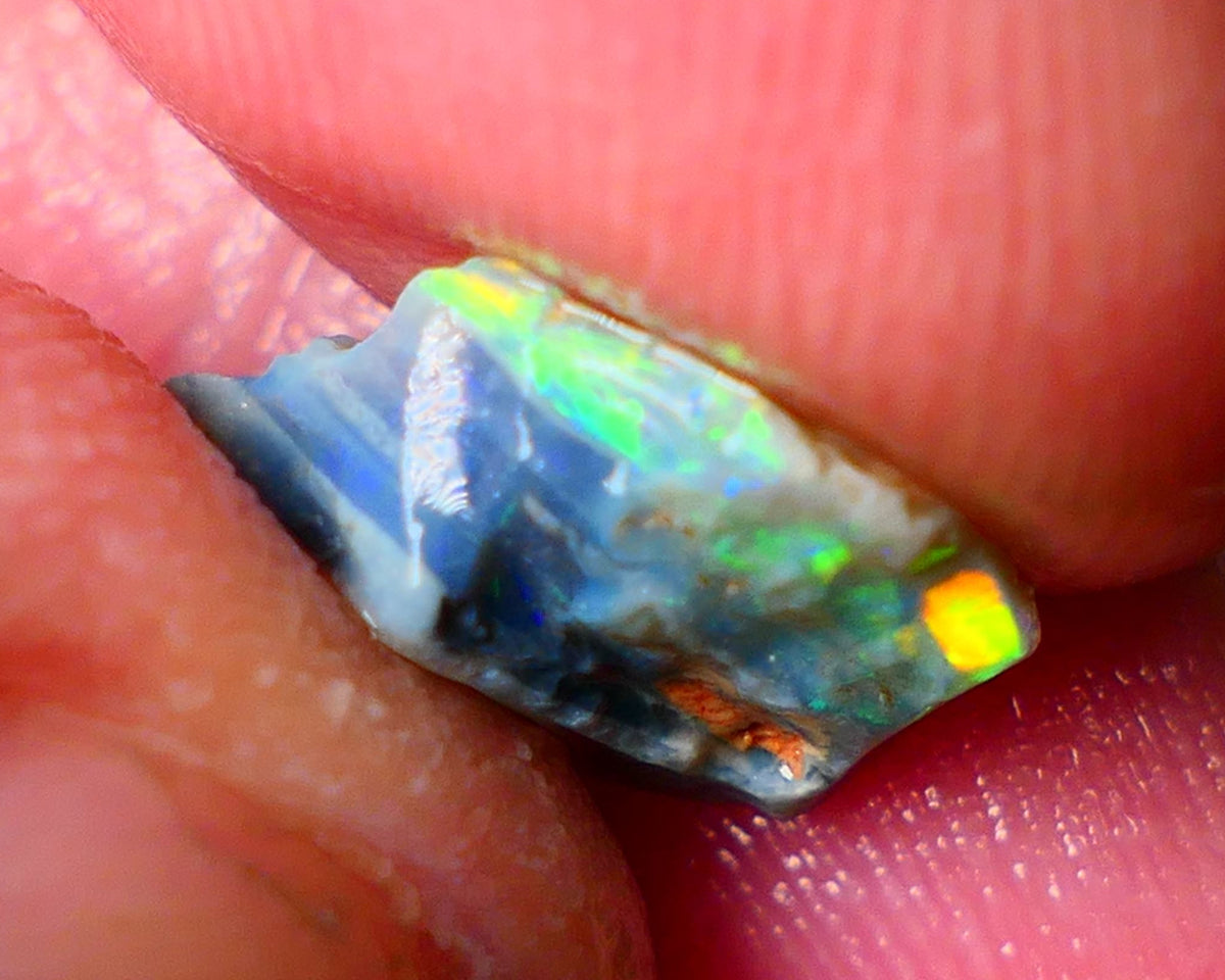 Lightning Ridge Gamble opal rough 2.60cts showing Gorgeous bright Multi colours 11x9x4mm ALP152