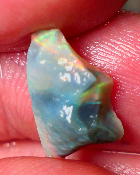 Lightning Ridge Gamble opal rough showing some bright Reds/Orange/Yellow details to come cts ALP1xx