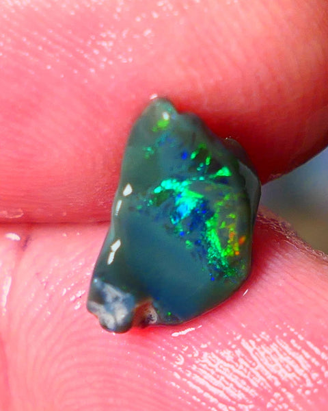 Lightning Ridge Gamble opal rough showing nice bright colours details to come cts ALP1xx