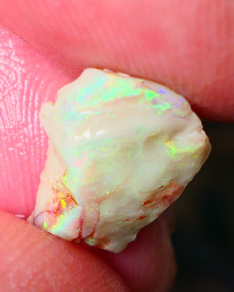 Lightning Ridge Gamble opal rough showing nice bright colours details to come cts ALP1xx