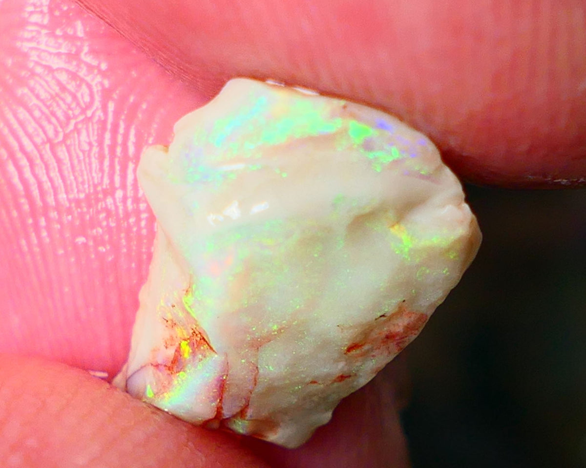 Lightning Ridge Gamble opal rough showing nice bright colours details to come cts ALP1xx