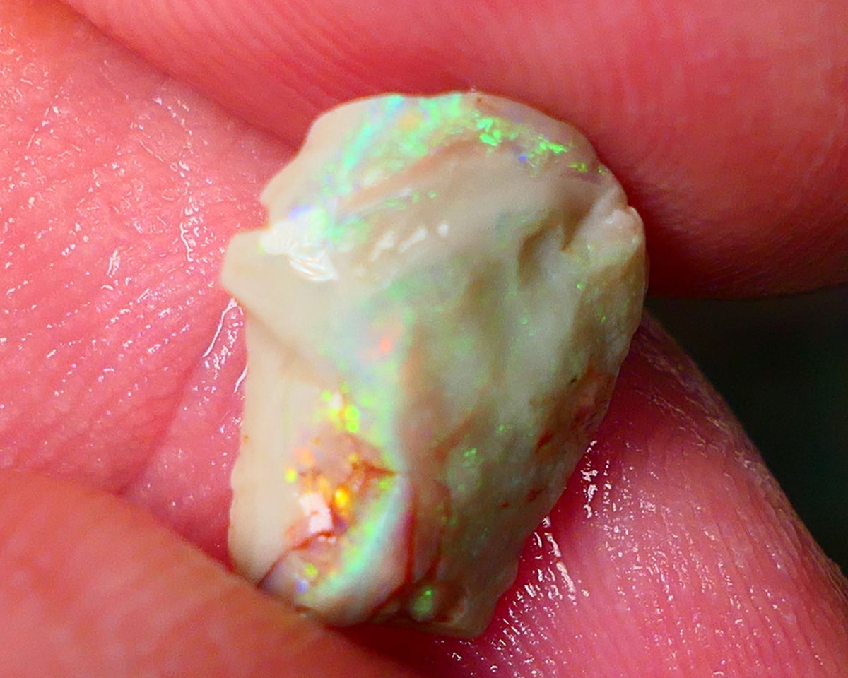 Lightning Ridge Gamble opal rough showing nice bright colours details to come cts ALP1xx