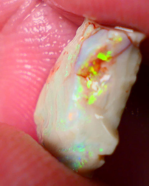 Lightning Ridge Gamble opal rough showing nice bright colours details to come cts ALP1xx