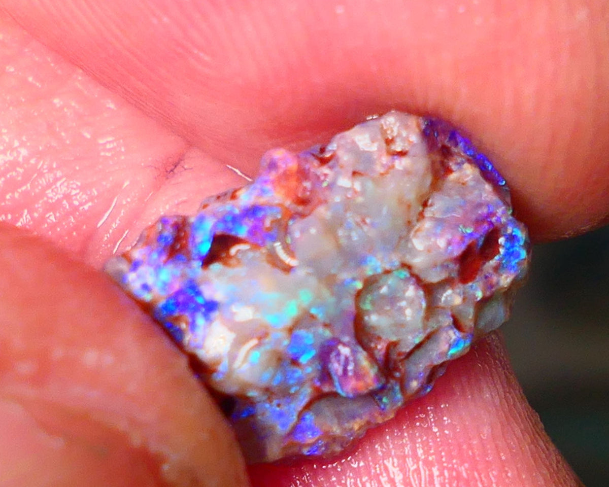 Lightning Ridge Gamble opal rough showing nice bright colours details to come cts ALP1xx