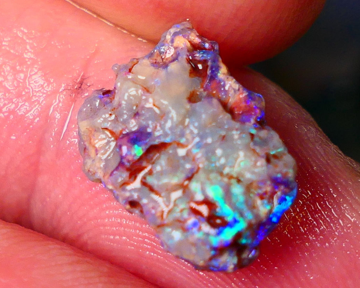 Lightning Ridge Gamble opal rough showing nice bright colours details to come cts ALP1xx