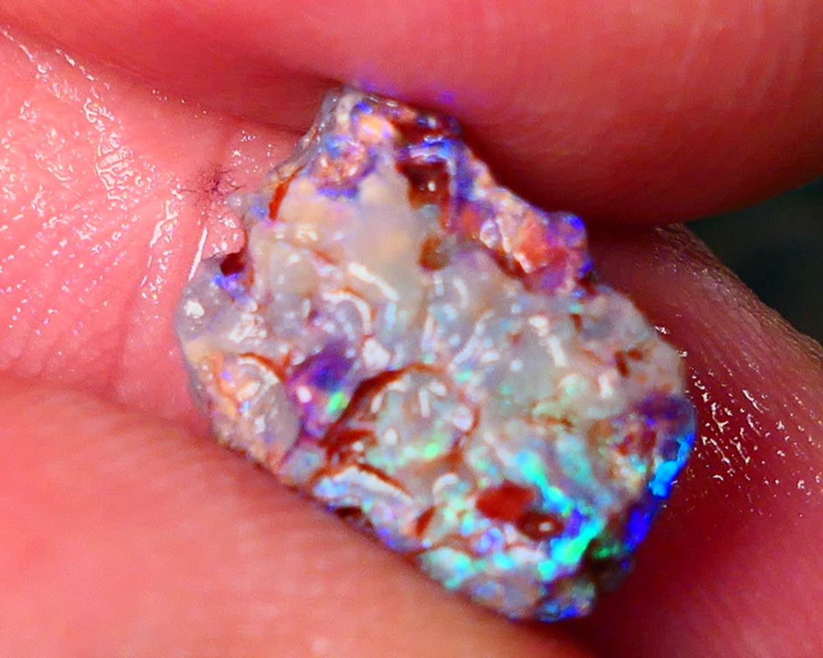 Lightning Ridge Gamble opal rough showing nice bright colours details to come cts ALP1xx