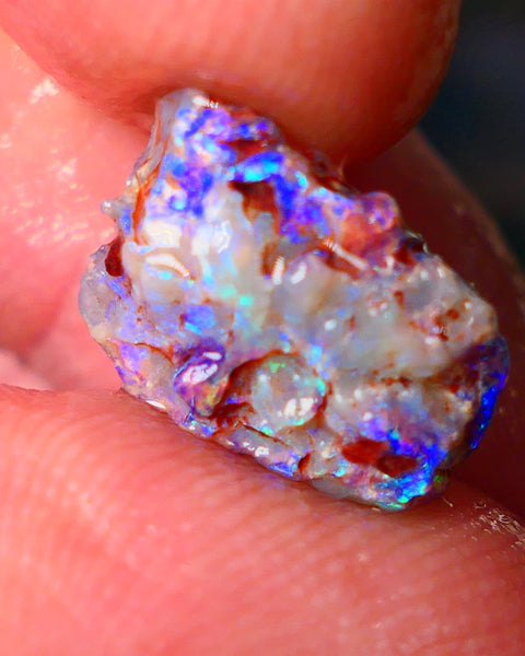 Lightning Ridge Gamble opal rough showing nice bright colours details to come cts ALP1xx