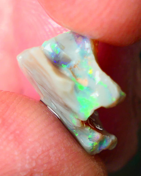 Lightning Ridge Gamble opal rough showing nice bright colours details to come cts ALP1xx