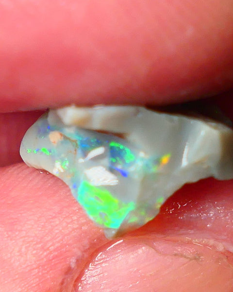 Lightning Ridge Gamble opal rough showing nice bright colours details to come cts ALP1xx