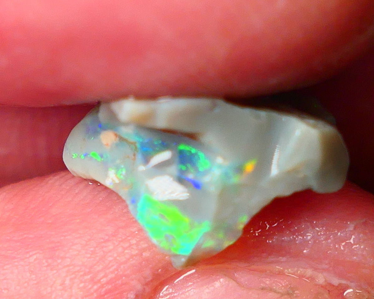 Lightning Ridge Gamble opal rough showing nice bright colours details to come cts ALP1xx