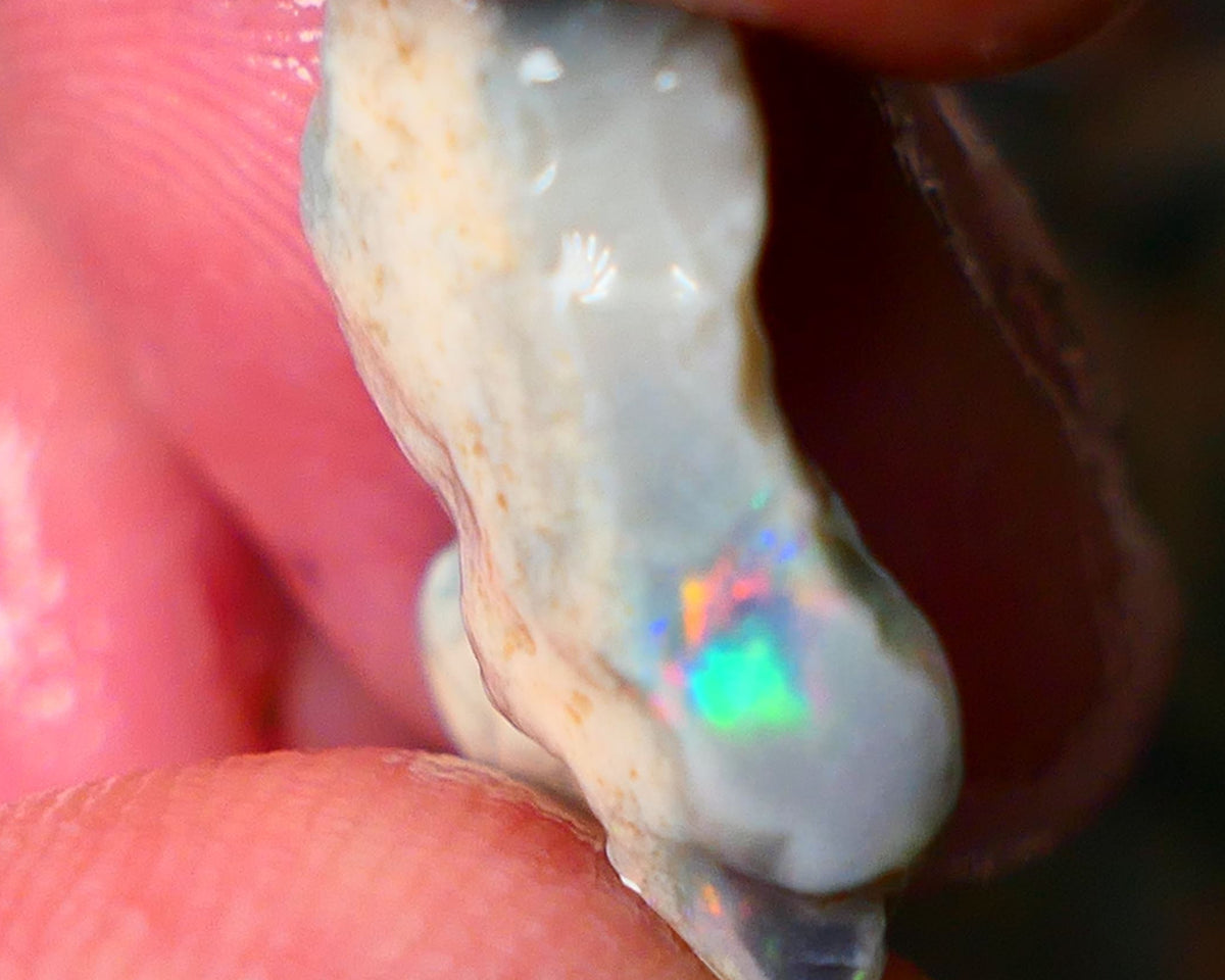 Lightning Ridge Gamble opal rough showing nice bright colours details to come cts ALP1xx