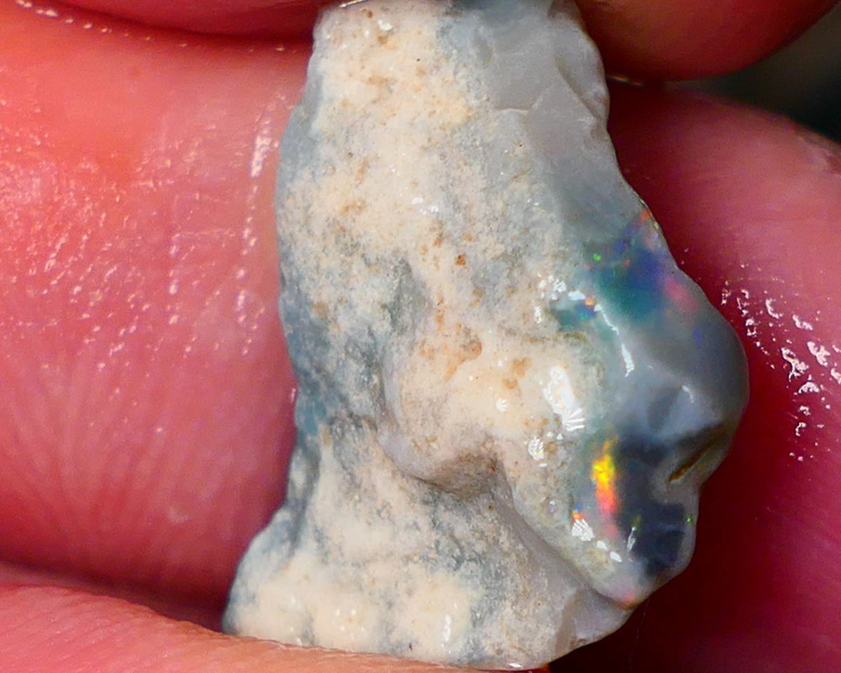 Lightning Ridge Gamble opal rough showing nice bright colours details to come cts ALP1xx