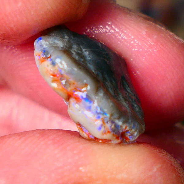 Lightning Ridge Gamble knobby opal rough 6.15cts showing nice bright Blue colours 17x12x6mm ALP145