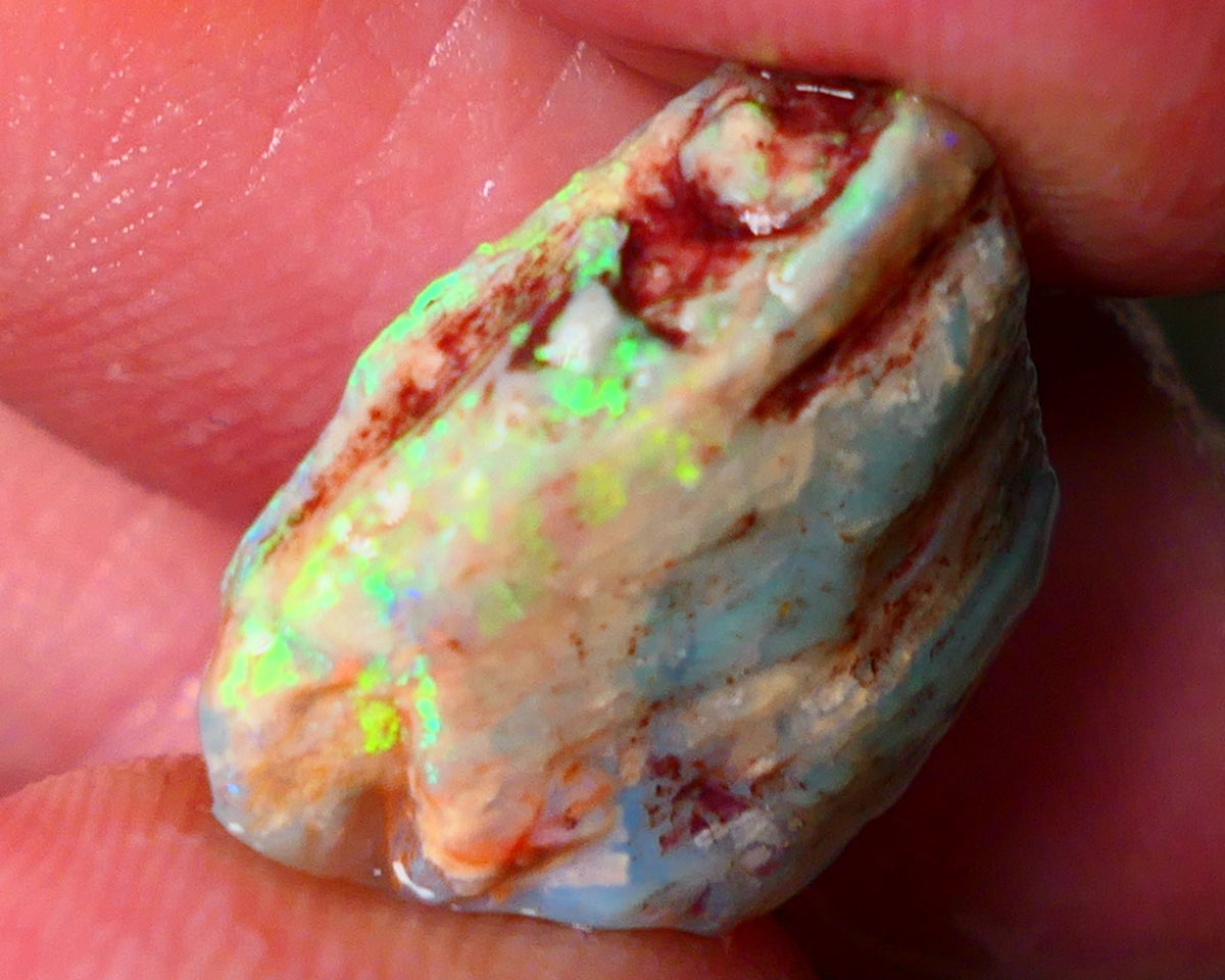 Lightning Ridge Gamble opal rough showing nice bright colours details to come cts ALP1xx