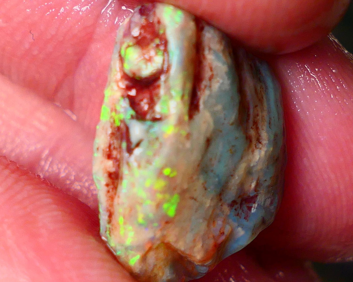 Lightning Ridge Gamble opal rough showing nice bright colours details to come cts ALP1xx