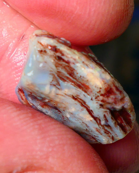 Lightning Ridge Gamble opal rough showing nice bright colours details to come cts ALP1xx