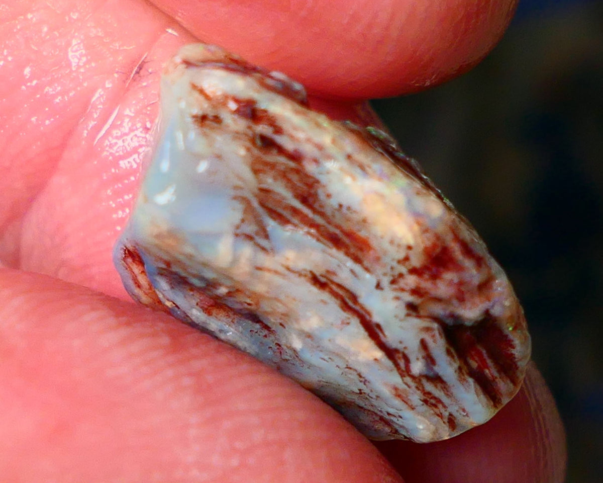 Lightning Ridge Gamble opal rough showing nice bright colours details to come cts ALP1xx