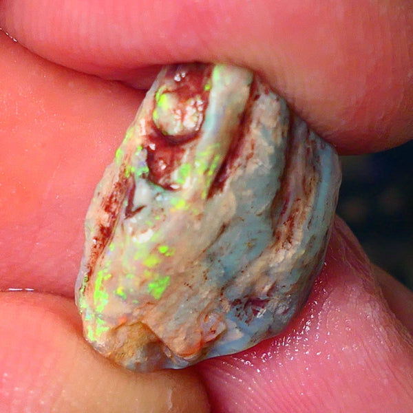 Lightning Ridge Gamble opal rough showing nice bright colours details to come cts ALP1xx