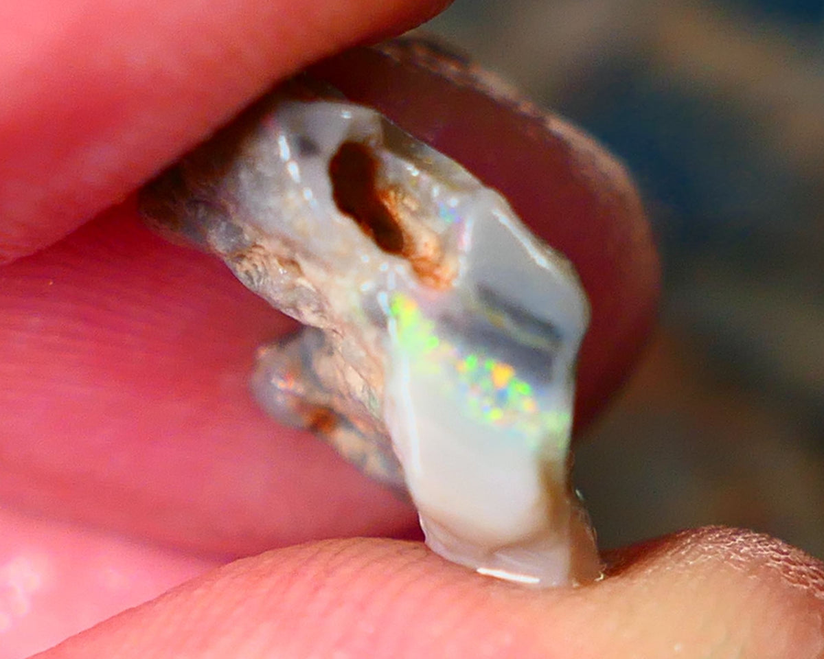 Lightning Ridge Rough Opal 6.25cts Gamble knobby dark base 18x14x3mm auction21