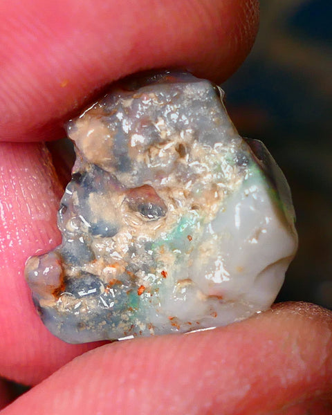 Lightning Ridge Rough Opal 6.25cts Gamble knobby dark base 18x14x3mm auction21