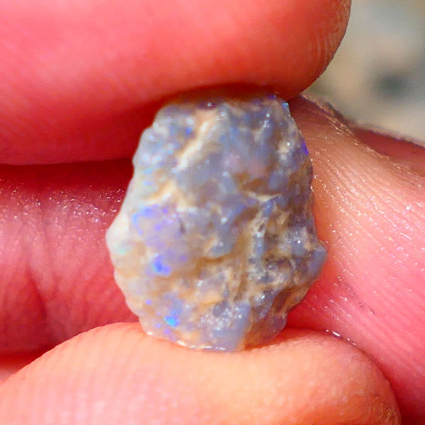 Lightning Ridge Small Knobby Rough Opal 2.50cts Showing Blue fires to gamble 13x10x3mm NSW130