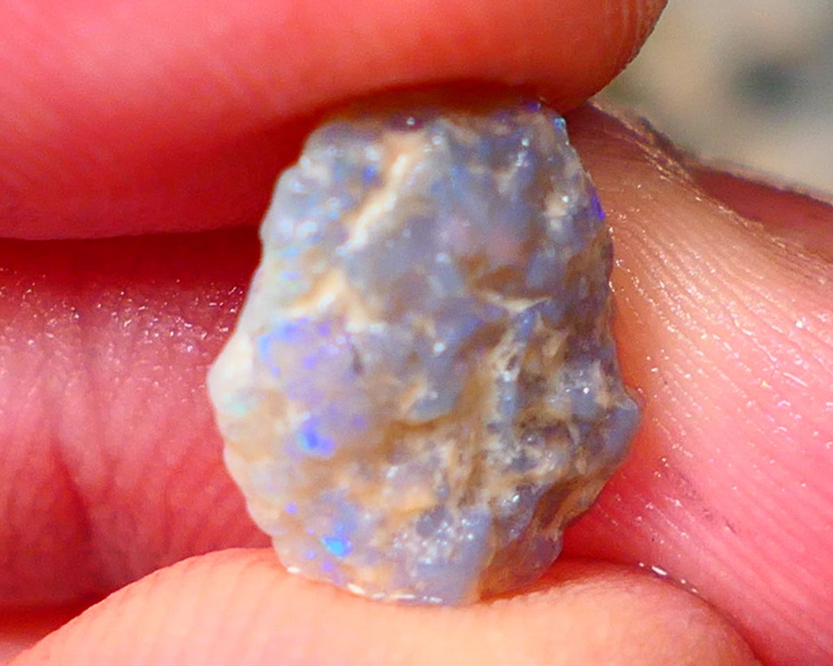 Lightning Ridge Small Knobby Rough Opal 2.50cts Showing Blue fires to gamble 13x10x3mm Auction59