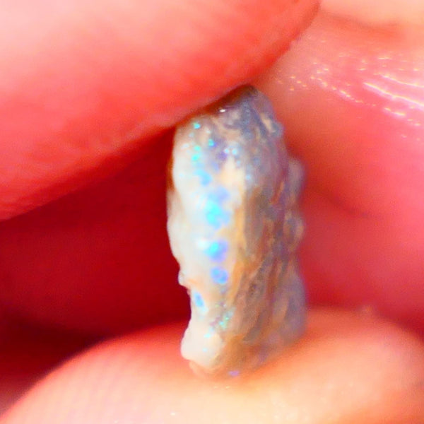 Lightning Ridge Small Knobby Rough Opal 2.50cts Showing Blue fires to gamble 13x10x3mm NSW130