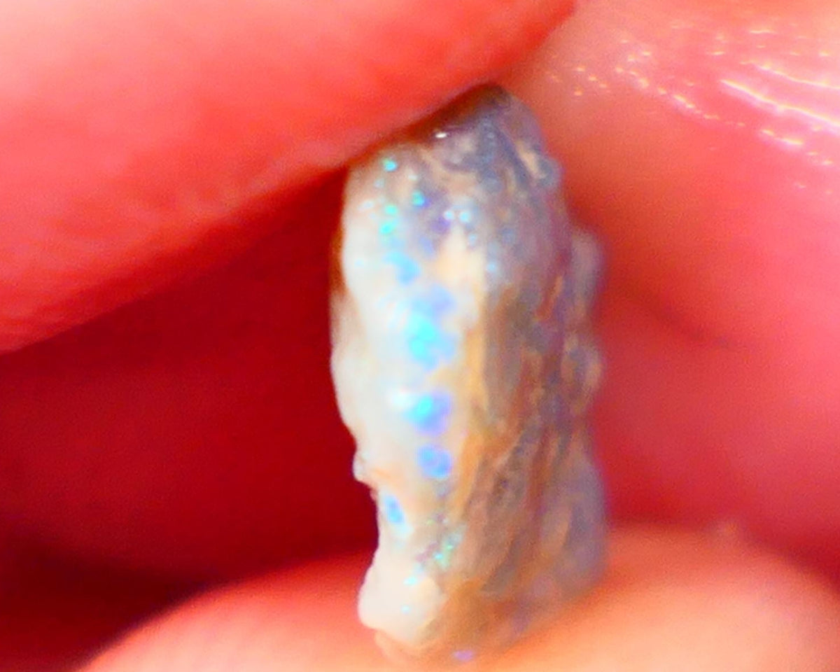 Lightning Ridge Small Knobby Rough Opal 2.50cts Showing Blue fires to gamble 13x10x3mm Auction59