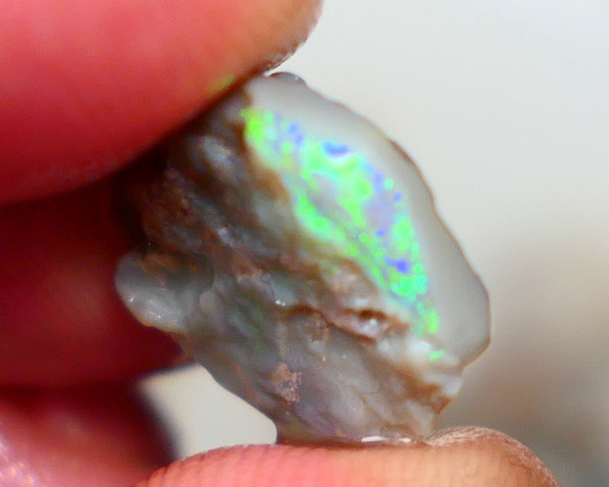 Lightning Ridge Grey base Seam opal 6.00cts Gamble showing Bright Multi Colours 14x14x4mm Auction39