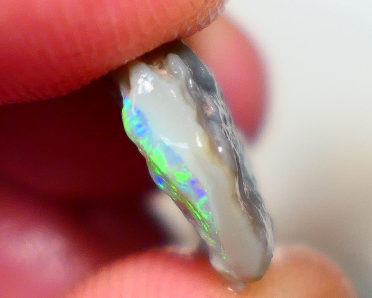 Lightning Ridge Grey base Seam opal 6.00cts Gamble showing Bright Multi Colours 14x14x4mm Auction39