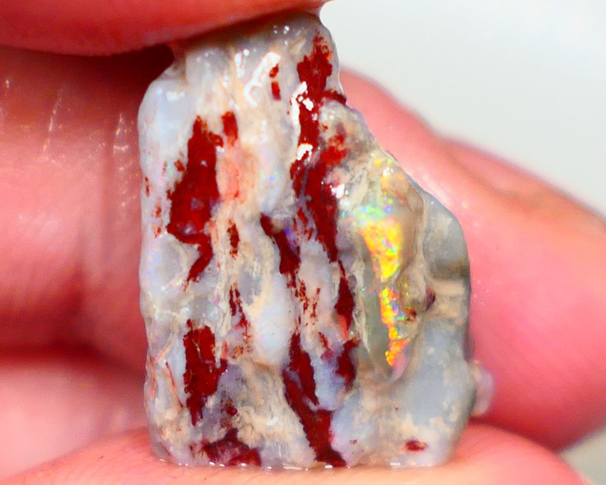 Lightning Ridge knobby opal formation rough 10.00cts showing Bright and Vibrant Orange fires Gamble or collect 19x13x8mm Auction42