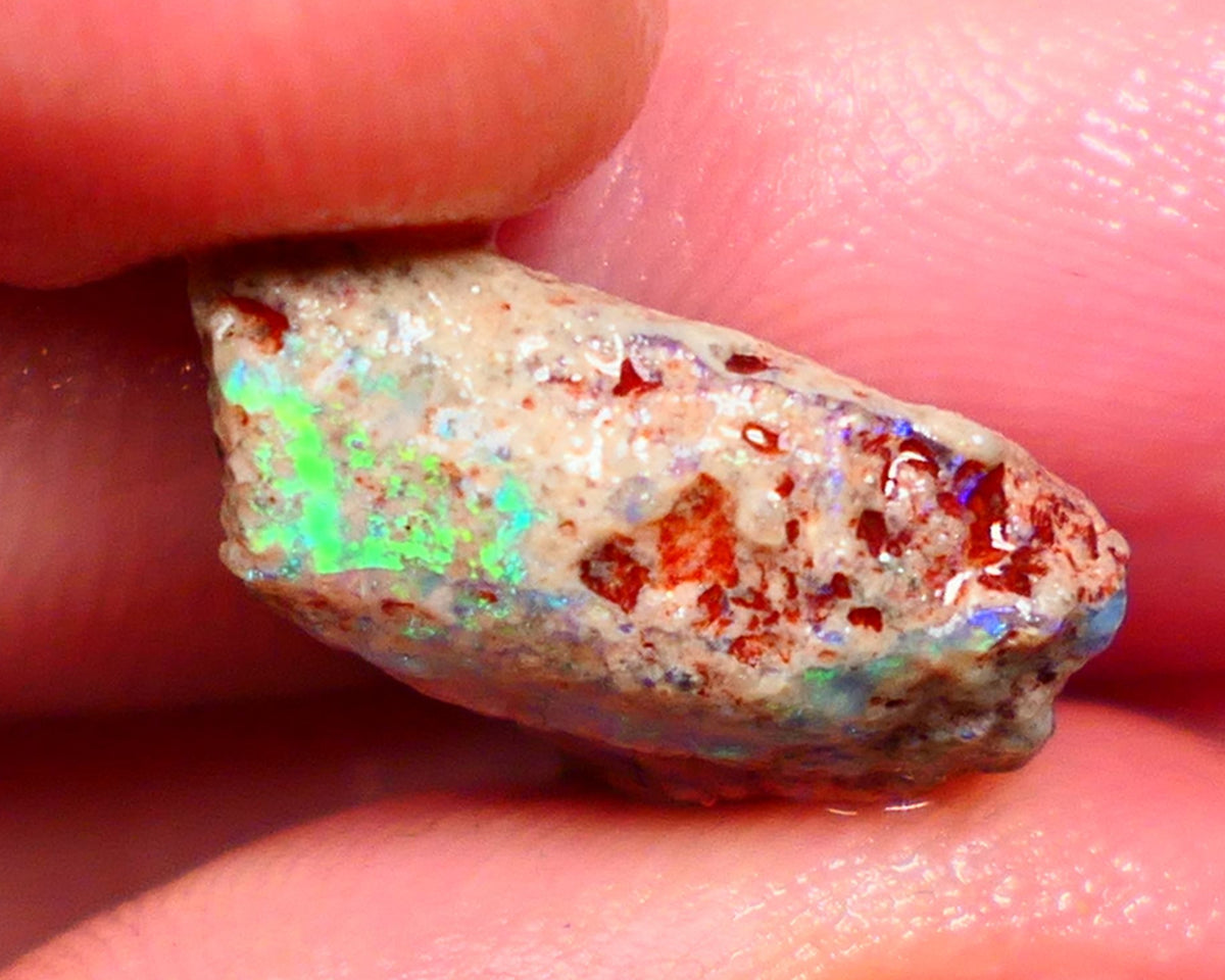 Lightning Ridge Rough Opal formation 9.50cts interesting exotic piece Green & Blue dominant multifires 18x14x7mm Auction56