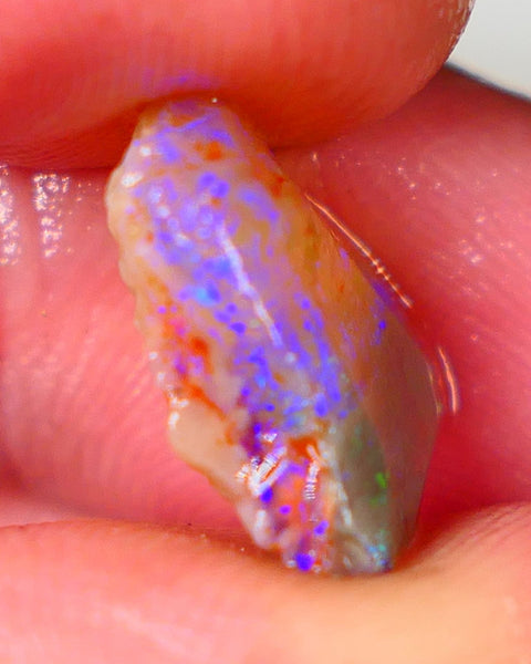 Bright & Colourful Rubbed knobby dark base rough 4.50cts L/Ridge Bright Blues colours 14x12x5mm Auction50