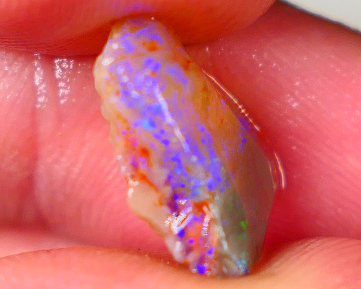 Bright & Colourful Rubbed knobby dark base rough 4.50cts L/Ridge Bright Blues colours 14x12x5mm Auction50