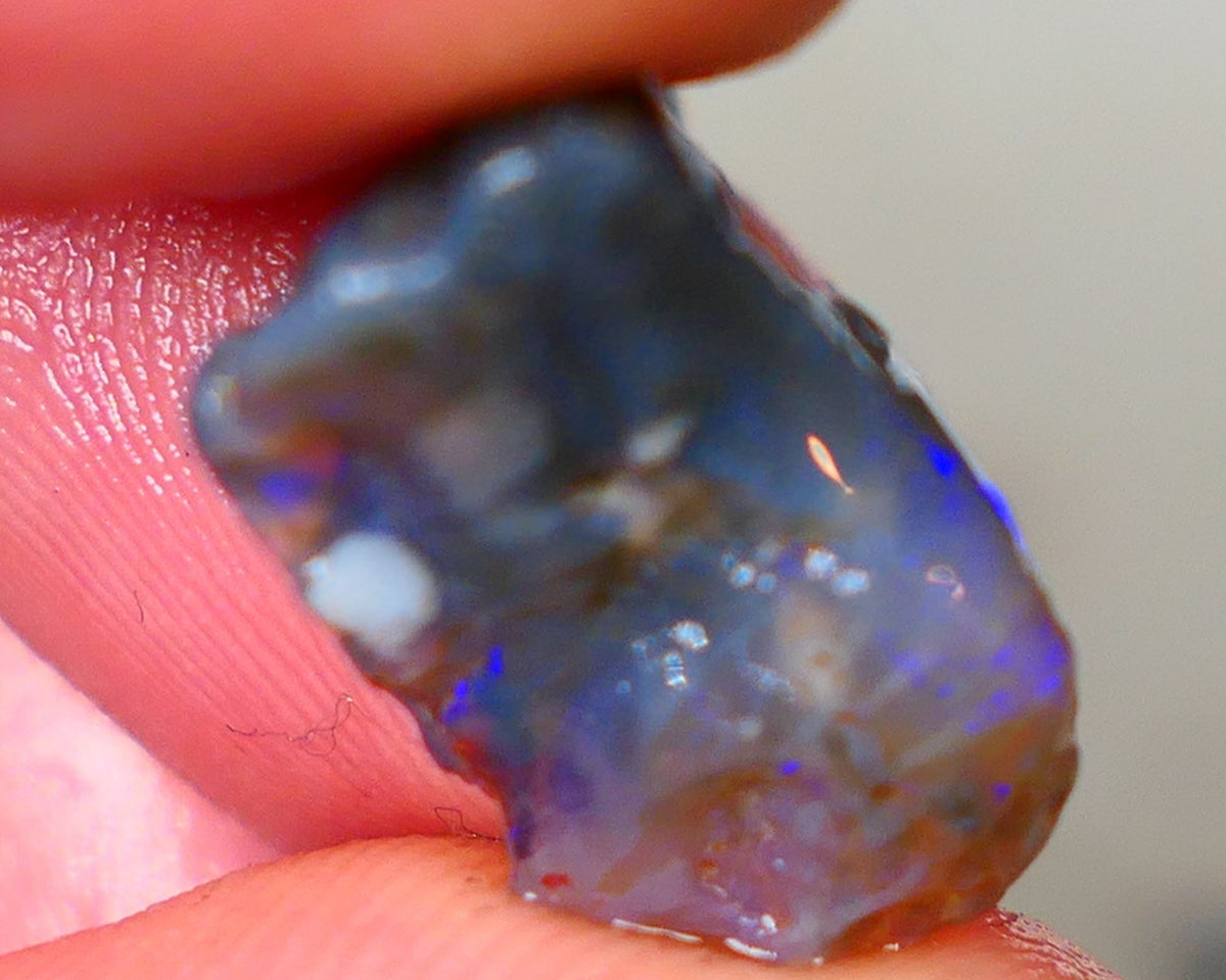 Bright & Colourful untouched knobby dark base 6.40cts L/Ridge Bright Vibrant Blues colours to cut 18x10x6mm Auciton47