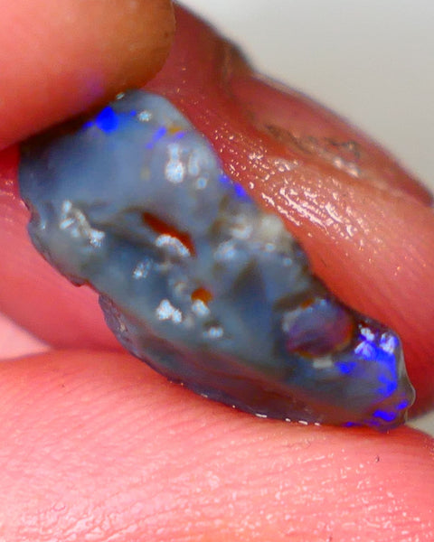 Bright & Colourful untouched knobby dark base xxx cts L/Ridge Bright Vibrant Blues colours to cut Auciton47