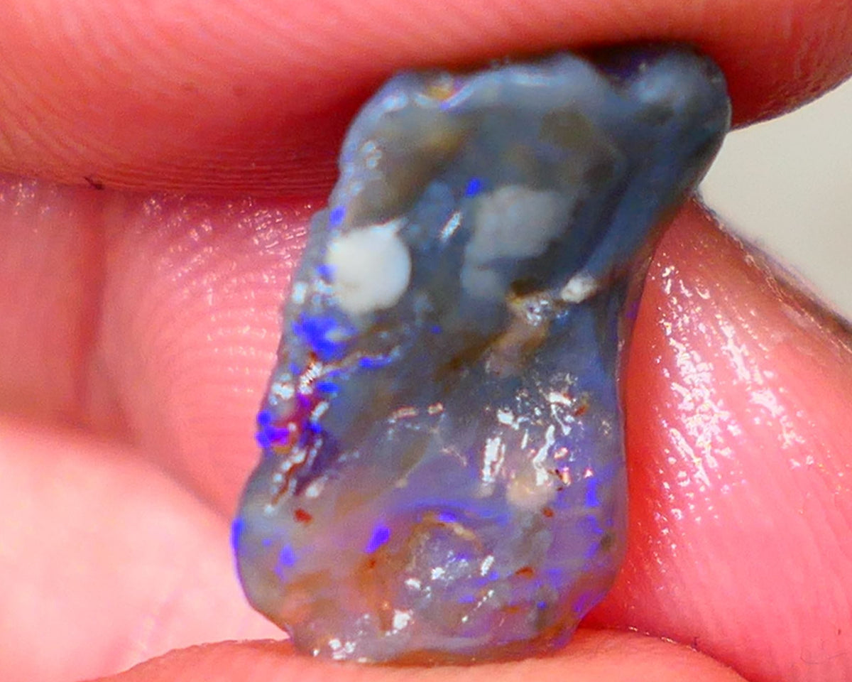 Bright & Colourful untouched knobby dark base 6.40cts L/Ridge Bright Vibrant Blues colours to cut 18x10x6mm Auciton47