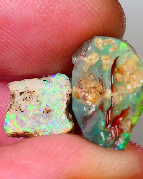 Pair of Exotic Opalised Wood fossils xx CTS rub/rough L/Ridge Bright Multi colours Auction45