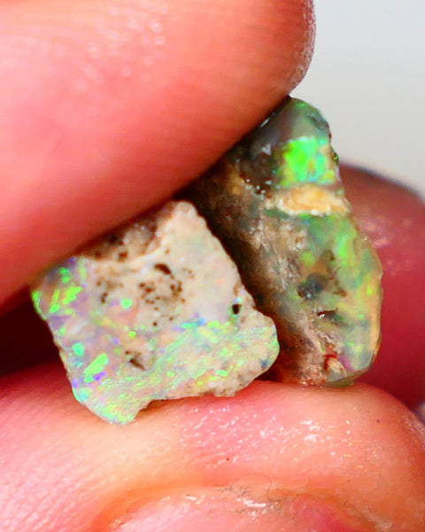 Pair of Exotic Opalised Wood fossils xx CTS rub/rough L/Ridge Bright Multi colours Auction45