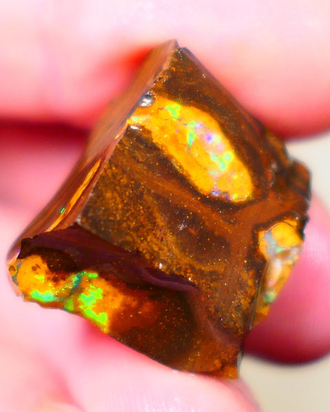 Winton Gem Boulder opal to cut 57.00cts Wonderful Bright & Vibrant Multifires showing on 4 sides time to take the cap off who wants it ? Auction91